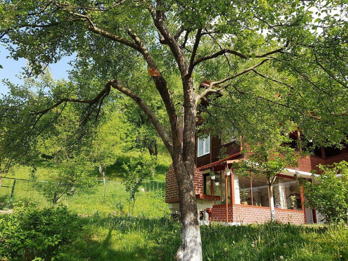 Вілла Casa Colt De Rai Брезой Екстер'єр фото
